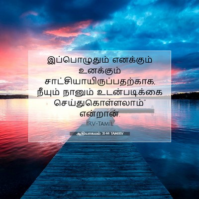 Picture 07 - ஆதியாகமம் 31:44 TAMIRV - இப்பொழுதும் - Bible Verse Picture