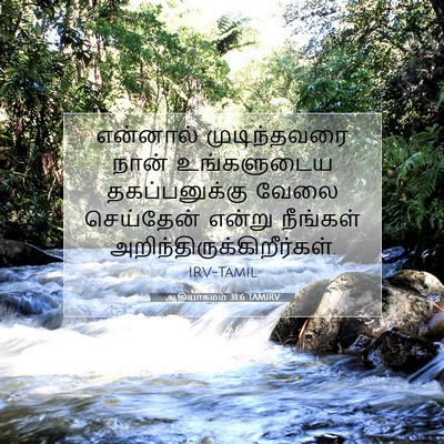 Picture 07 - ஆதியாகமம் 31:6 TAMIRV - என்னால் - Bible Verse Picture