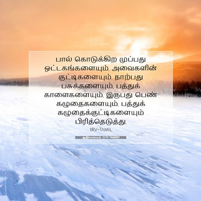 Picture 07 - ஆதியாகமம் 32:15 TAMIRV - பால் கொடுக்கிற - Bible Verse Picture
