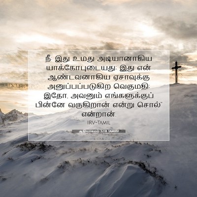 Picture 07 - ஆதியாகமம் 32:18 TAMIRV - நீ: இது உமது - Bible Verse Picture