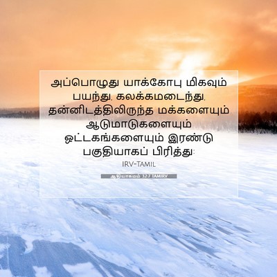 Picture 07 - ஆதியாகமம் 32:7 TAMIRV - அப்பொழுது - Bible Verse Picture