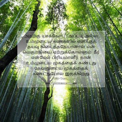 Picture 07 - ஆதியாகமம் 33:10 TAMIRV - அதற்கு யாக்கோபு: - Bible Verse Picture