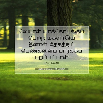 Picture 07 - ஆதியாகமம் 34:1 TAMIRV - லேயாள் - Bible Verse Picture