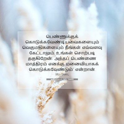 Picture 07 - ஆதியாகமம் 34:12 TAMIRV - பெண்ணுக்குக் - Bible Verse Picture