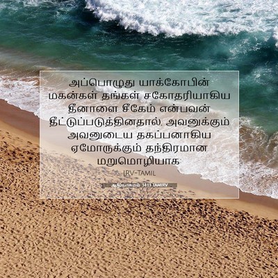 Picture 07 - ஆதியாகமம் 34:13 TAMIRV - அப்பொழுது - Bible Verse Picture