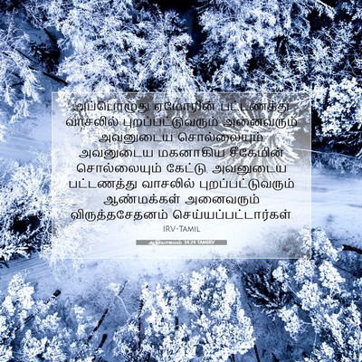 Picture 07 - ஆதியாகமம் 34:24 TAMIRV - அப்பொழுது ஏமோரின் - Bible Verse Picture