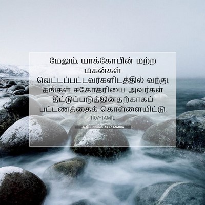 Picture 07 - ஆதியாகமம் 34:27 TAMIRV - மேலும், - Bible Verse Picture