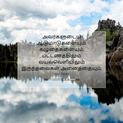 Picture 07 - ஆதியாகமம் 34:28 TAMIRV - அவர்களுடைய - Bible Verse Picture