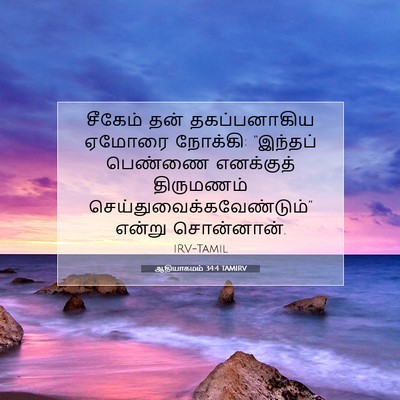 Picture 07 - ஆதியாகமம் 34:4 TAMIRV - சீகேம் தன் - Bible Verse Picture