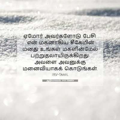 Picture 07 - ஆதியாகமம் 34:8 TAMIRV - ஏமோர் அவர்களோடு - Bible Verse Picture