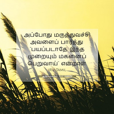 Picture 07 - ஆதியாகமம் 35:17 TAMIRV - அப்போது - Bible Verse Picture