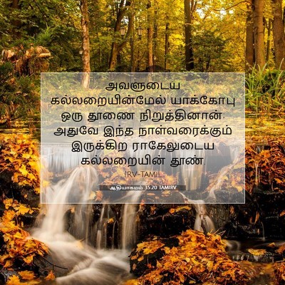 Picture 07 - ஆதியாகமம் 35:20 TAMIRV - அவளுடைய - Bible Verse Picture