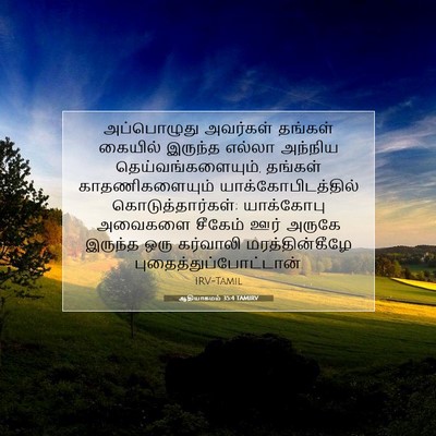 Picture 07 - ஆதியாகமம் 35:4 TAMIRV - அப்பொழுது அவர்கள் - Bible Verse Picture