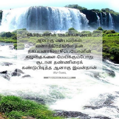 Picture 07 - ஆதியாகமம் 36:24 TAMIRV - சிபியோனின் - Bible Verse Picture
