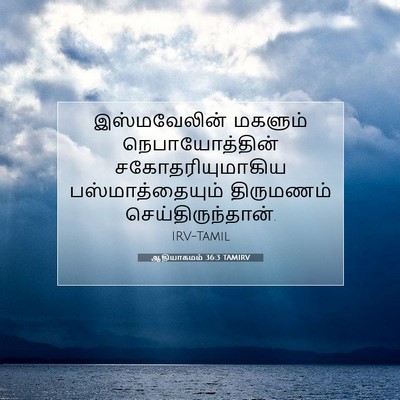 Picture 07 - ஆதியாகமம் 36:3 TAMIRV - இஸ்மவேலின் மகளும் - Bible Verse Picture