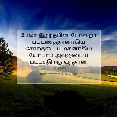 Picture 07 - ஆதியாகமம் 36:33 TAMIRV - பேலா இறந்தபின், - Bible Verse Picture