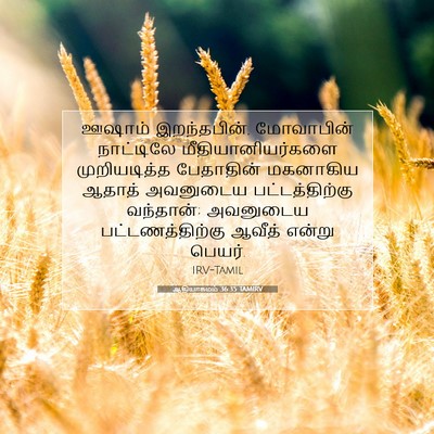 Picture 07 - ஆதியாகமம் 36:35 TAMIRV - ஊஷாம் இறந்தபின், - Bible Verse Picture