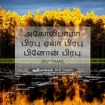 Picture 07 - ஆதியாகமம் 36:41 TAMIRV - அகோலிபாமா பிரபு, - Bible Verse Picture