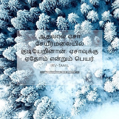Picture 07 - ஆதியாகமம் 36:8 TAMIRV - ஆதலால் ஏசா - Bible Verse Picture