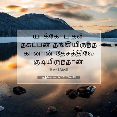 Picture 07 - ஆதியாகமம் 37:1 TAMIRV - யாக்கோபு தன் - Bible Verse Picture