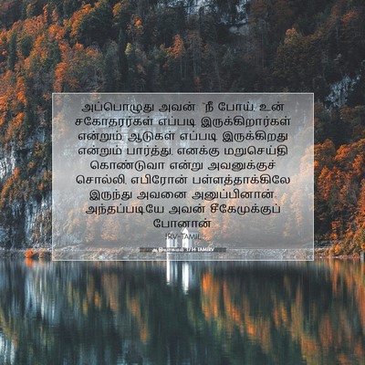 Picture 07 - ஆதியாகமம் 37:14 TAMIRV - அப்பொழுது அவன்: - Bible Verse Picture