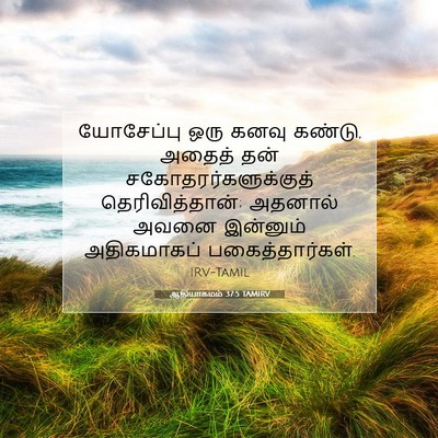 Picture 07 - ஆதியாகமம் 37:5 TAMIRV - யோசேப்பு ஒரு கனவு - Bible Verse Picture