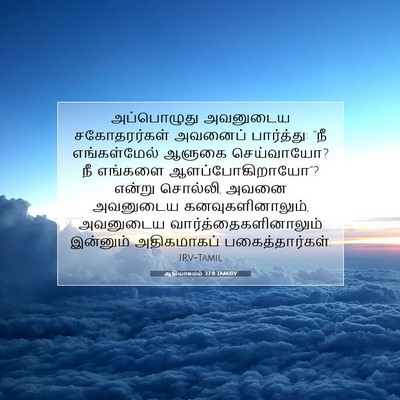 Picture 07 - ஆதியாகமம் 37:8 TAMIRV - அப்பொழுது அவனுடைய - Bible Verse Picture