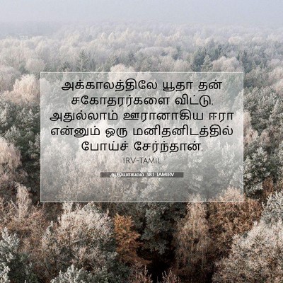 Picture 07 - ஆதியாகமம் 38:1 TAMIRV - அக்காலத்திலே யூதா - Bible Verse Picture