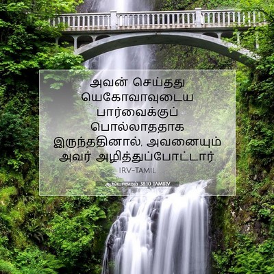 Picture 07 - ஆதியாகமம் 38:10 TAMIRV - அவன் செய்தது - Bible Verse Picture