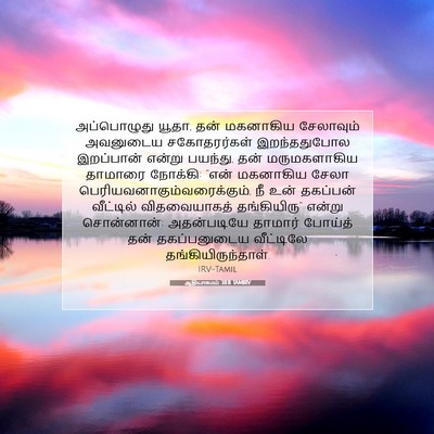Picture 07 - ஆதியாகமம் 38:11 TAMIRV - அப்பொழுது யூதா, - Bible Verse Picture