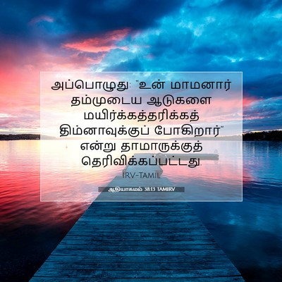 Picture 07 - ஆதியாகமம் 38:13 TAMIRV - அப்பொழுது: “உன் - Bible Verse Picture