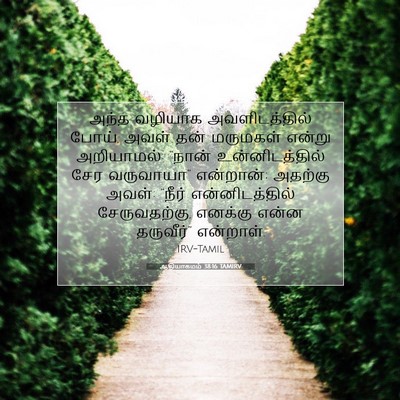 Picture 07 - ஆதியாகமம் 38:16 TAMIRV - அந்த வழியாக - Bible Verse Picture