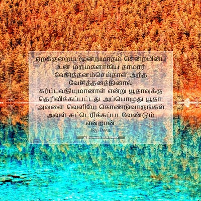 Picture 07 - ஆதியாகமம் 38:24 TAMIRV - ஏறக்குறைய - Bible Verse Picture