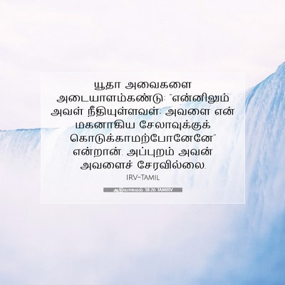 Picture 07 - ஆதியாகமம் 38:26 TAMIRV - யூதா அவைகளை - Bible Verse Picture