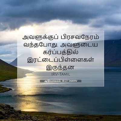 Picture 07 - ஆதியாகமம் 38:27 TAMIRV - அவளுக்குப் - Bible Verse Picture