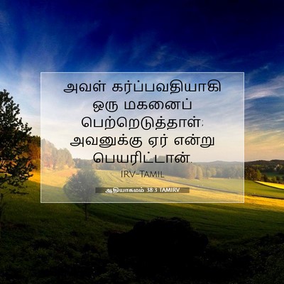 Picture 07 - ஆதியாகமம் 38:3 TAMIRV - அவள் - Bible Verse Picture