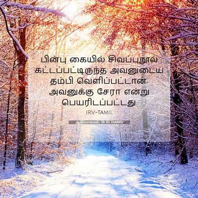 Picture 07 - ஆதியாகமம் 38:30 TAMIRV - பின்பு கையில் - Bible Verse Picture