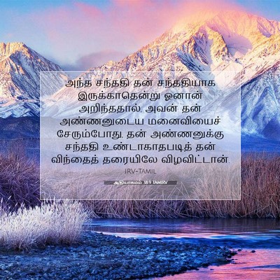 Picture 07 - ஆதியாகமம் 38:9 TAMIRV - அந்த சந்ததி தன் - Bible Verse Picture