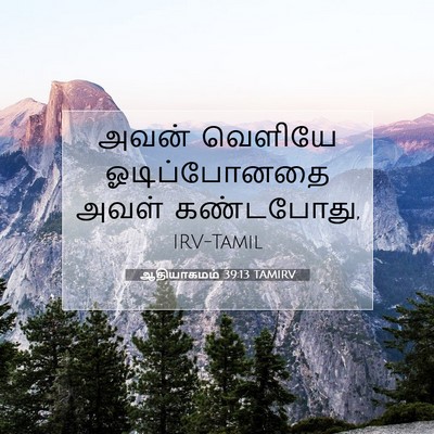 Picture 07 - ஆதியாகமம் 39:13 TAMIRV - அவன் வெளியே - Bible Verse Picture