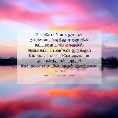 Picture 07 - ஆதியாகமம் 39:20 TAMIRV - யோசேப்பின் எஜமான் - Bible Verse Picture