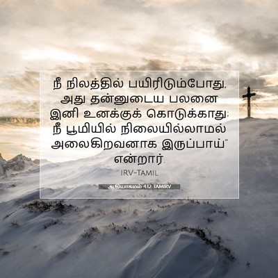 Picture 07 - ஆதியாகமம் 4:12 TAMIRV - நீ நிலத்தில் - Bible Verse Picture