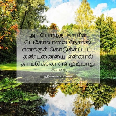 Picture 07 - ஆதியாகமம் 4:13 TAMIRV - அப்பொழுது காயீன் - Bible Verse Picture
