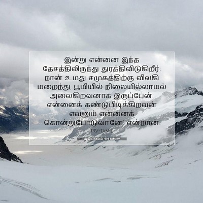 Picture 07 - ஆதியாகமம் 4:14 TAMIRV - இன்று என்னை இந்த - Bible Verse Picture