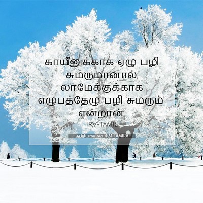 Picture 07 - ஆதியாகமம் 4:24 TAMIRV - காயீனுக்காக ஏழு - Bible Verse Picture