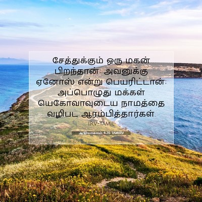Picture 07 - ஆதியாகமம் 4:26 TAMIRV - சேத்துக்கும் ஒரு - Bible Verse Picture