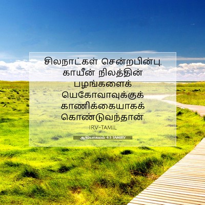 Picture 07 - ஆதியாகமம் 4:3 TAMIRV - சிலநாட்கள் - Bible Verse Picture