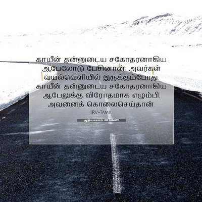 Picture 07 - ஆதியாகமம் 4:8 TAMIRV - காயீன் தன்னுடைய - Bible Verse Picture