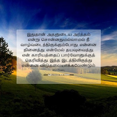 Picture 07 - ஆதியாகமம் 40:14 TAMIRV - இதுதான் அதனுடைய - Bible Verse Picture