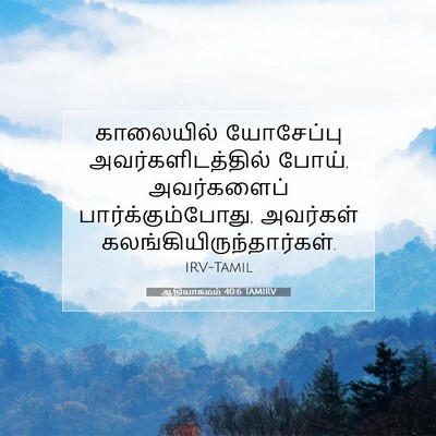 Picture 07 - ஆதியாகமம் 40:6 TAMIRV - காலையில் யோசேப்பு - Bible Verse Picture