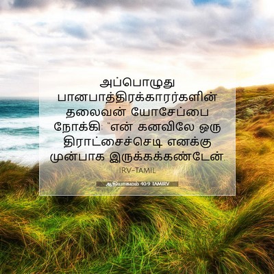 Picture 07 - ஆதியாகமம் 40:9 TAMIRV - அப்பொழுது - Bible Verse Picture